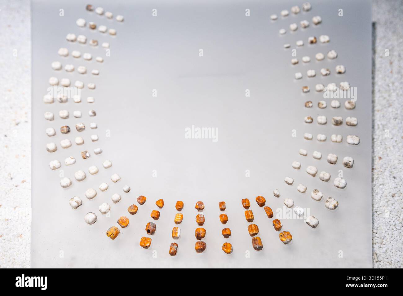 Collana di Teotihuacan realizzata con conchiglie marine scolpite per assomigliare ai denti umani, uno squisito esempio di arte antica. Foto Stock