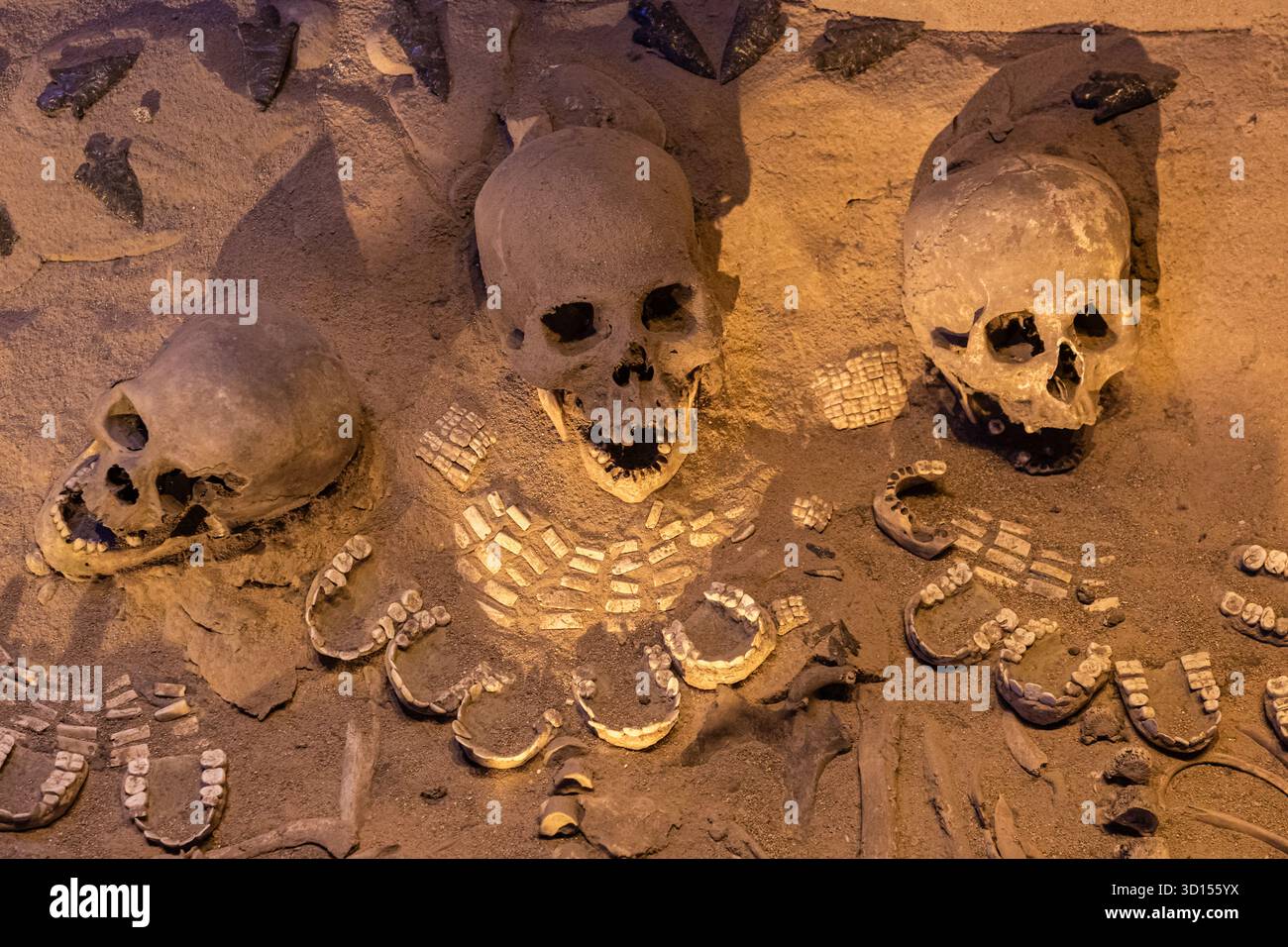 Sepolture con collane di conchiglie e teschi dal Tempio del Serpente piumato di Teotihuacan, che mostrano offerte rituali e influenza straniera. Foto Stock