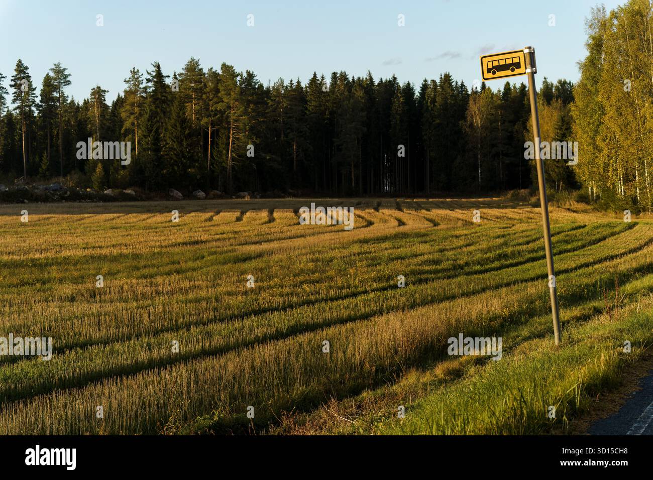La sera, accanto a un campo nella campagna finlandese, c'è un cartello con la fermata dell'autobus. Foto Stock