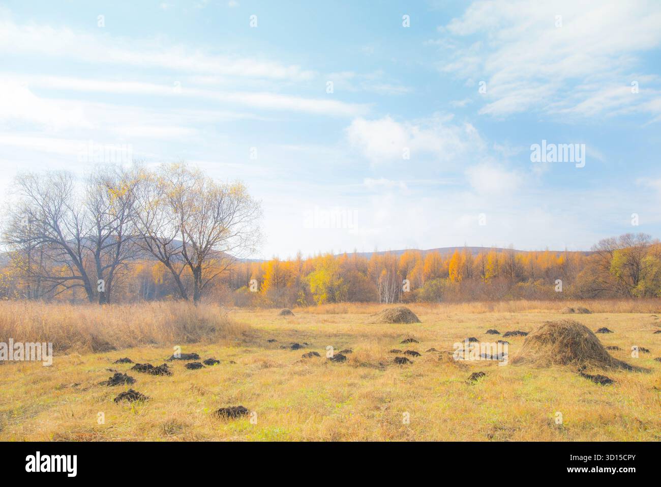 Un'atmosfera da sogno del paesaggio autunnale all'aperto che cattura una montagna e un bosco allegri e speranzosi della madre natura. Foto Stock
