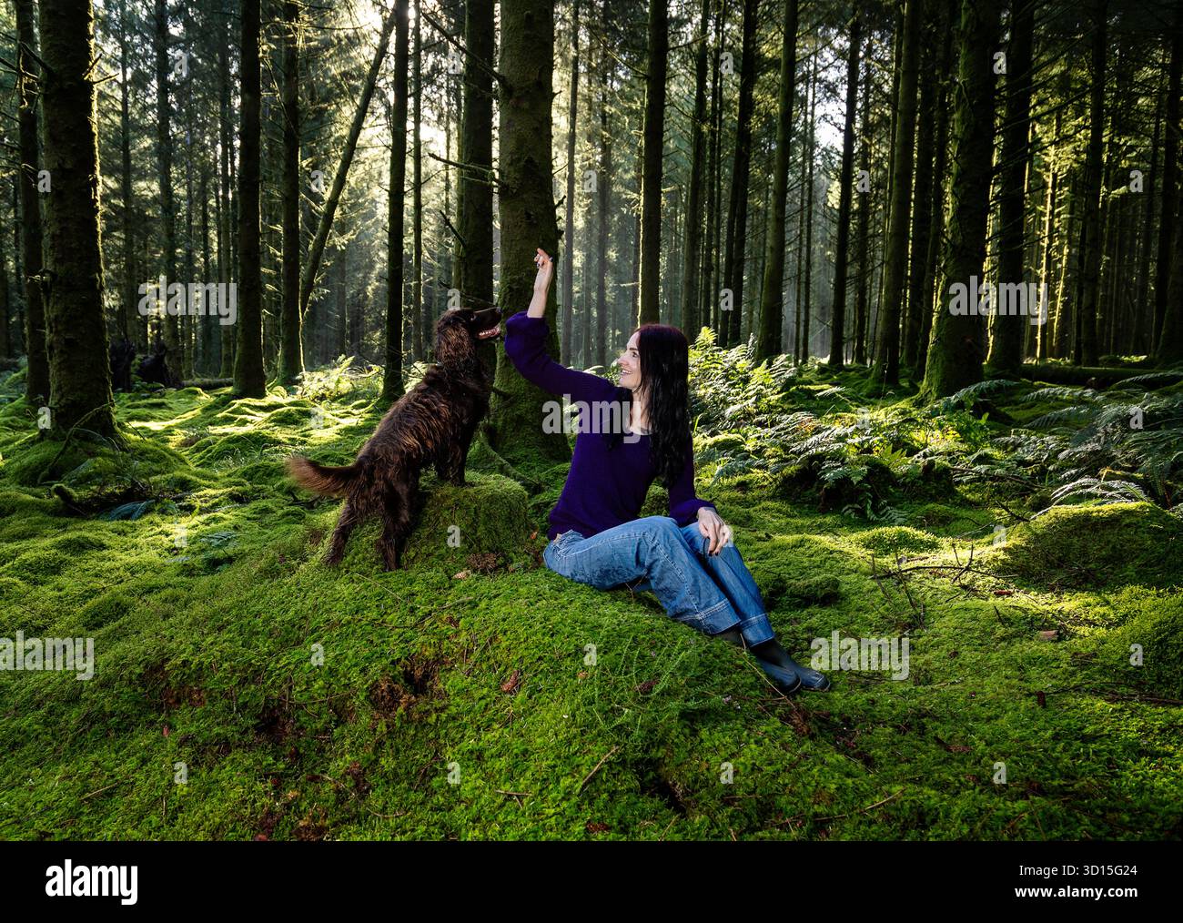 Una giovane donna con il suo cane da compagnia nel bosco in Cornovaglia, Regno Unito Foto Stock