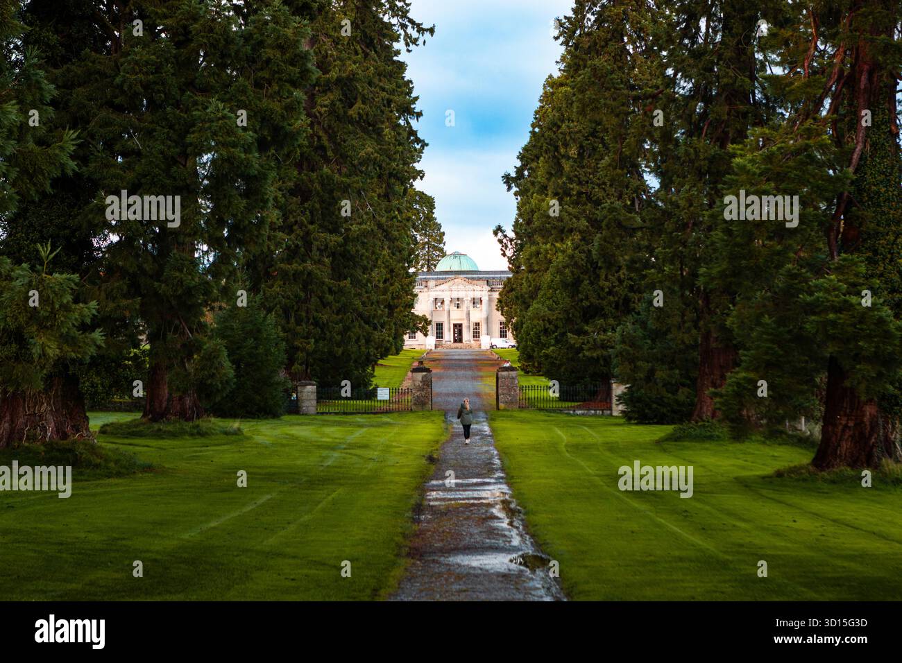 Donna che cammina lungo un sentiero alberato verso Emo Court House nel pomeriggio coperto nella contea di Laois, Irlanda Foto Stock