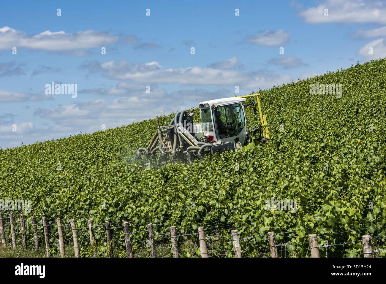 Epernay, Francia - 12 giugno 2017: Irrorazione di viti in un vigneto vicino al villaggio di Champagne Epernay Champagne District, Francia Foto Stock