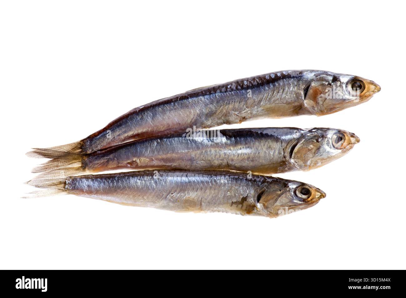 Oggetto su bianco - cibo spratto affumicato Foto Stock