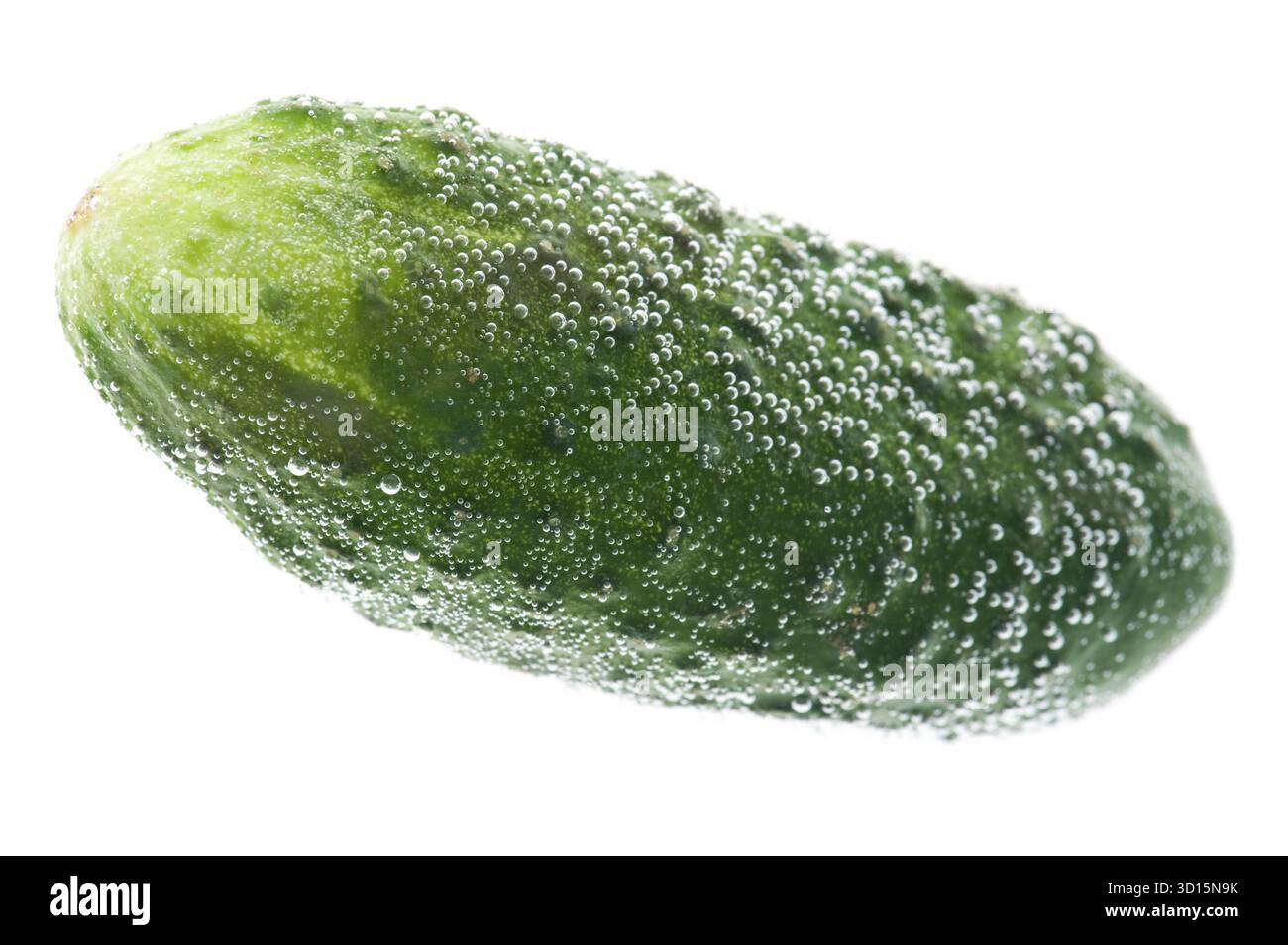Oggetto su bianco - cetriolo alimentare in acqua Foto Stock