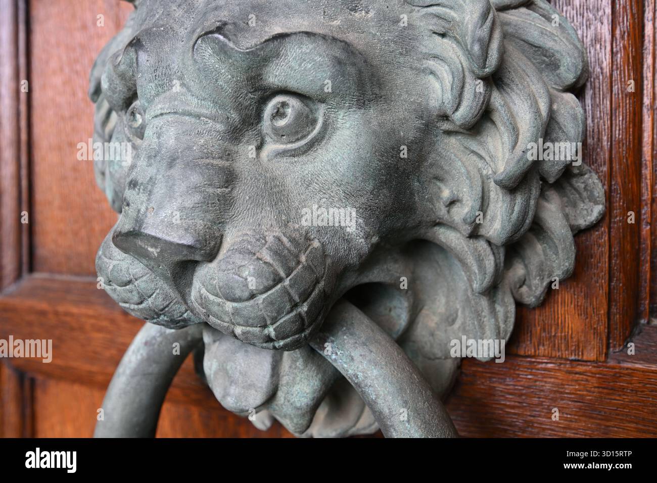 Battente o maniglia per porta con testa a leone e anello metallico su porta in legno Foto Stock