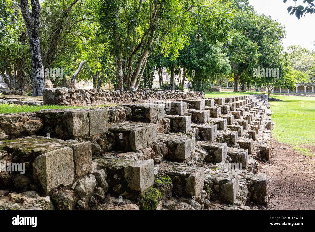 Scalini in pietra e rovine di terrazze fuori dal Quadrilatero Nunnery di Uxmal, circondato da vegetazione tropicale, Yucatán, Messico. Foto Stock