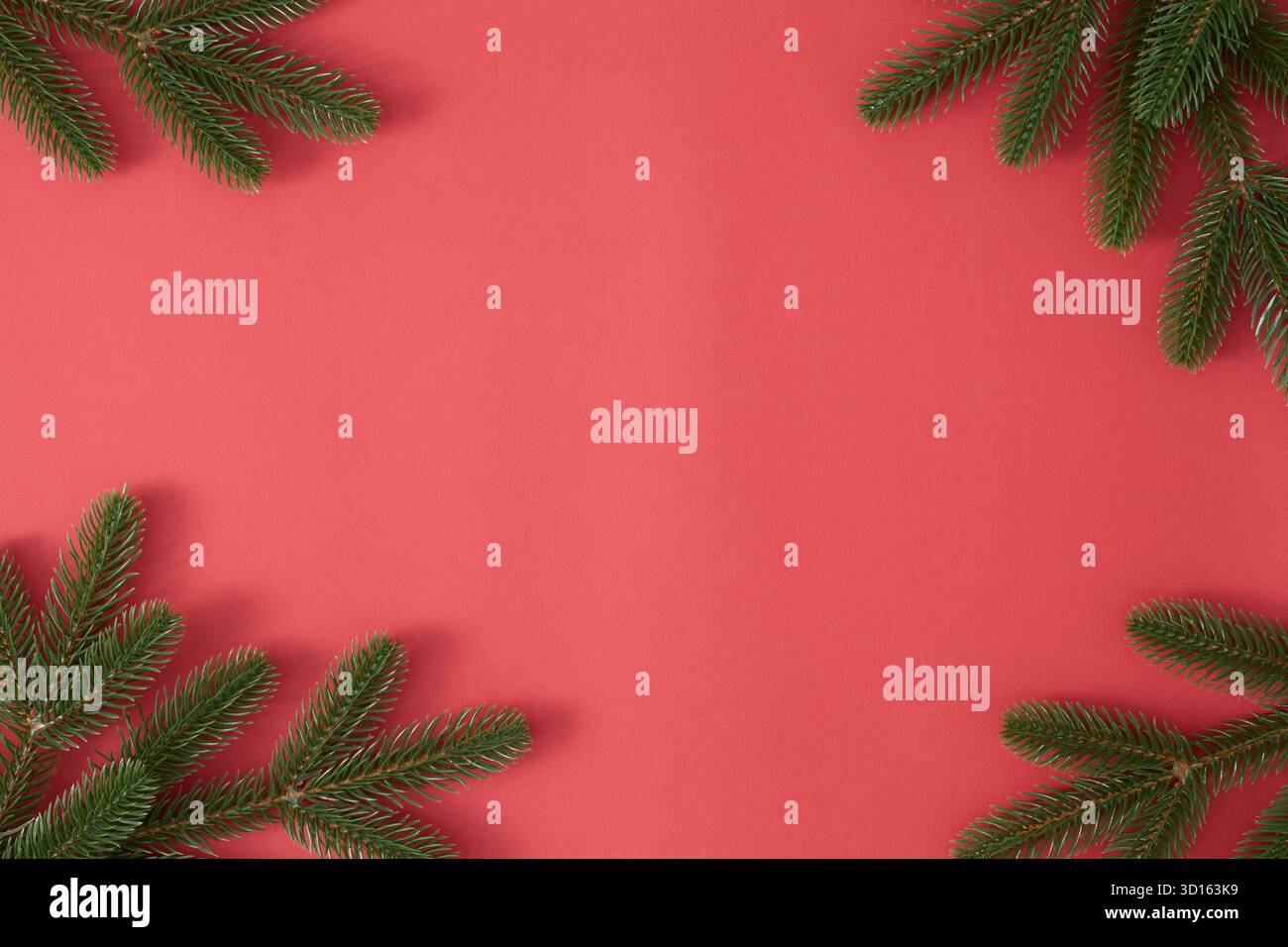 Rami di abete che incorniciano uno sfondo rosso Foto Stock