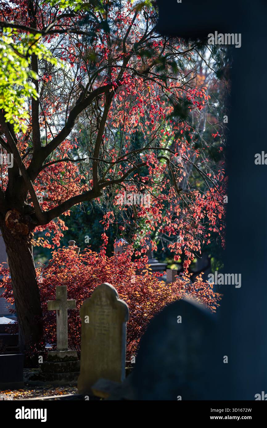 Hanwell Cemetery, Ealing, Londra Foto Stock