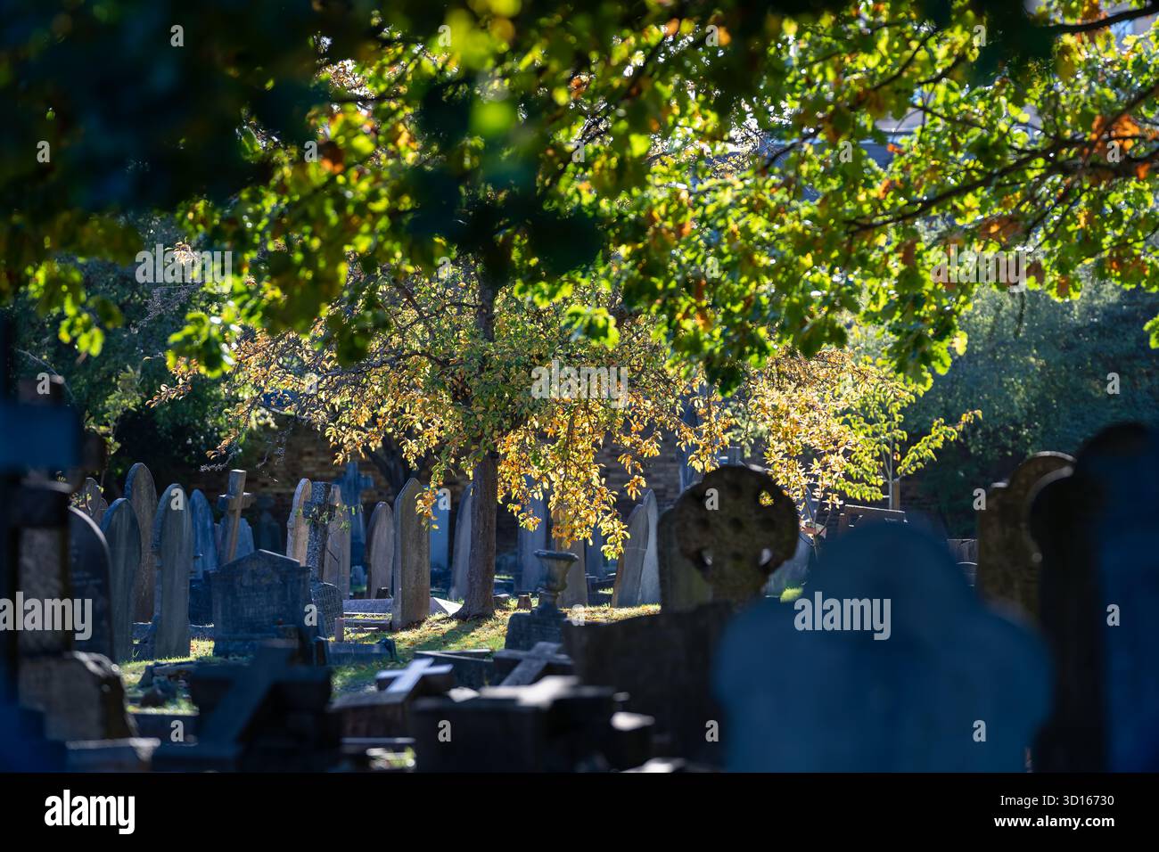 Hanwell Cemetery, Ealing, Londra Foto Stock