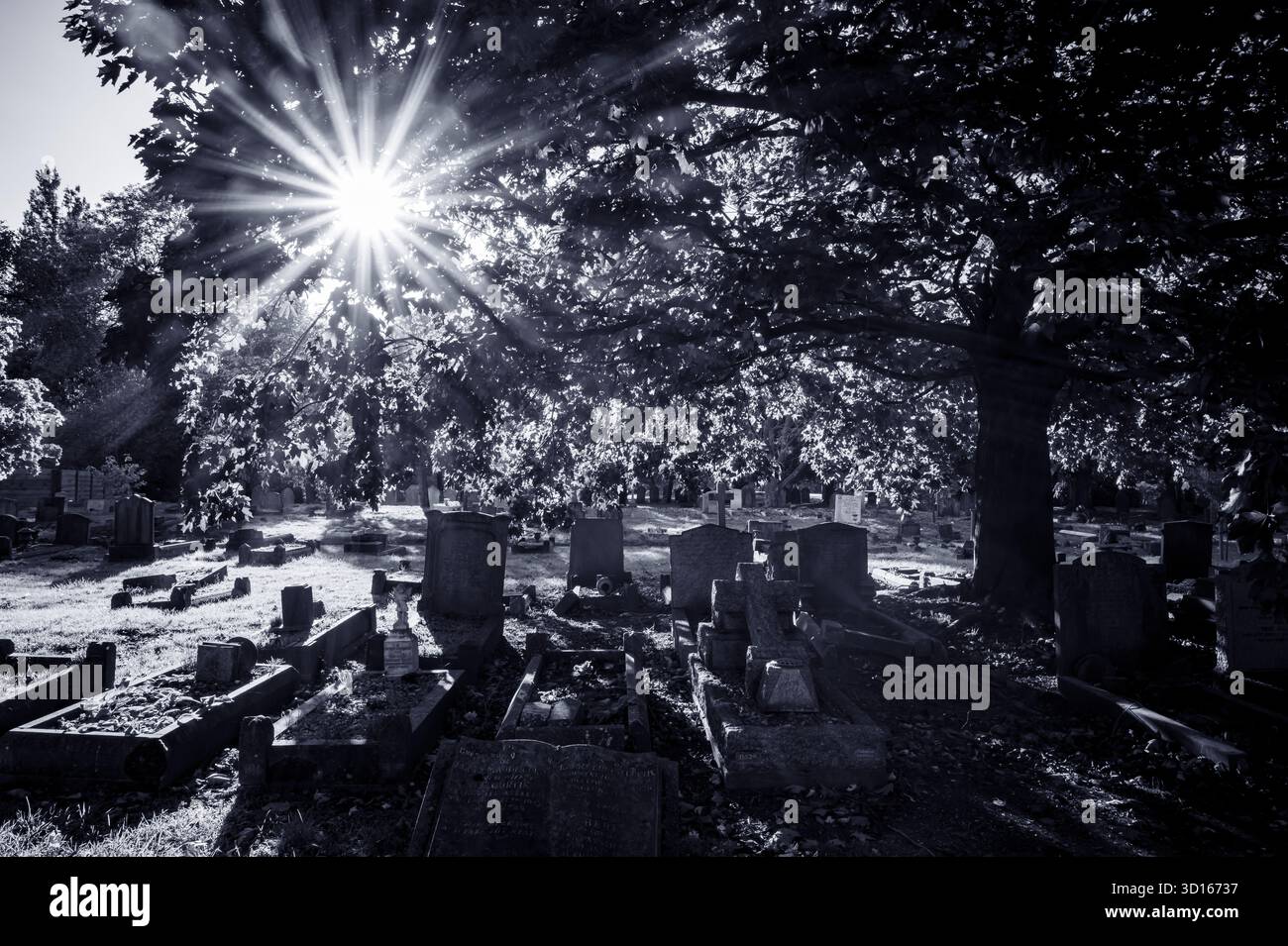 Hanwell Cemetery, Ealing, Londra Foto Stock