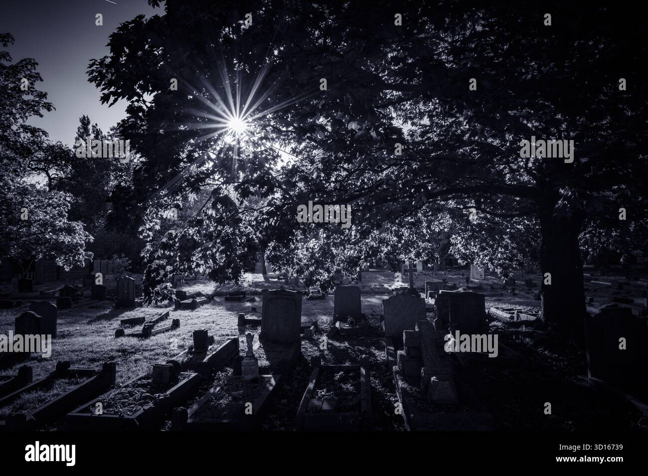 Hanwell Cemetery, Ealing, Londra Foto Stock