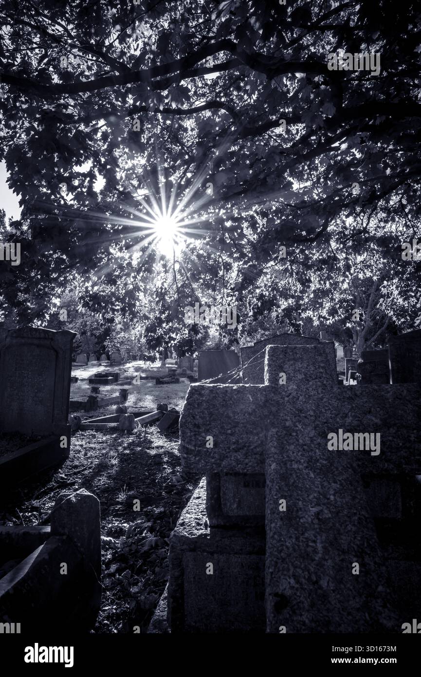 Hanwell Cemetery, Ealing, Londra Foto Stock