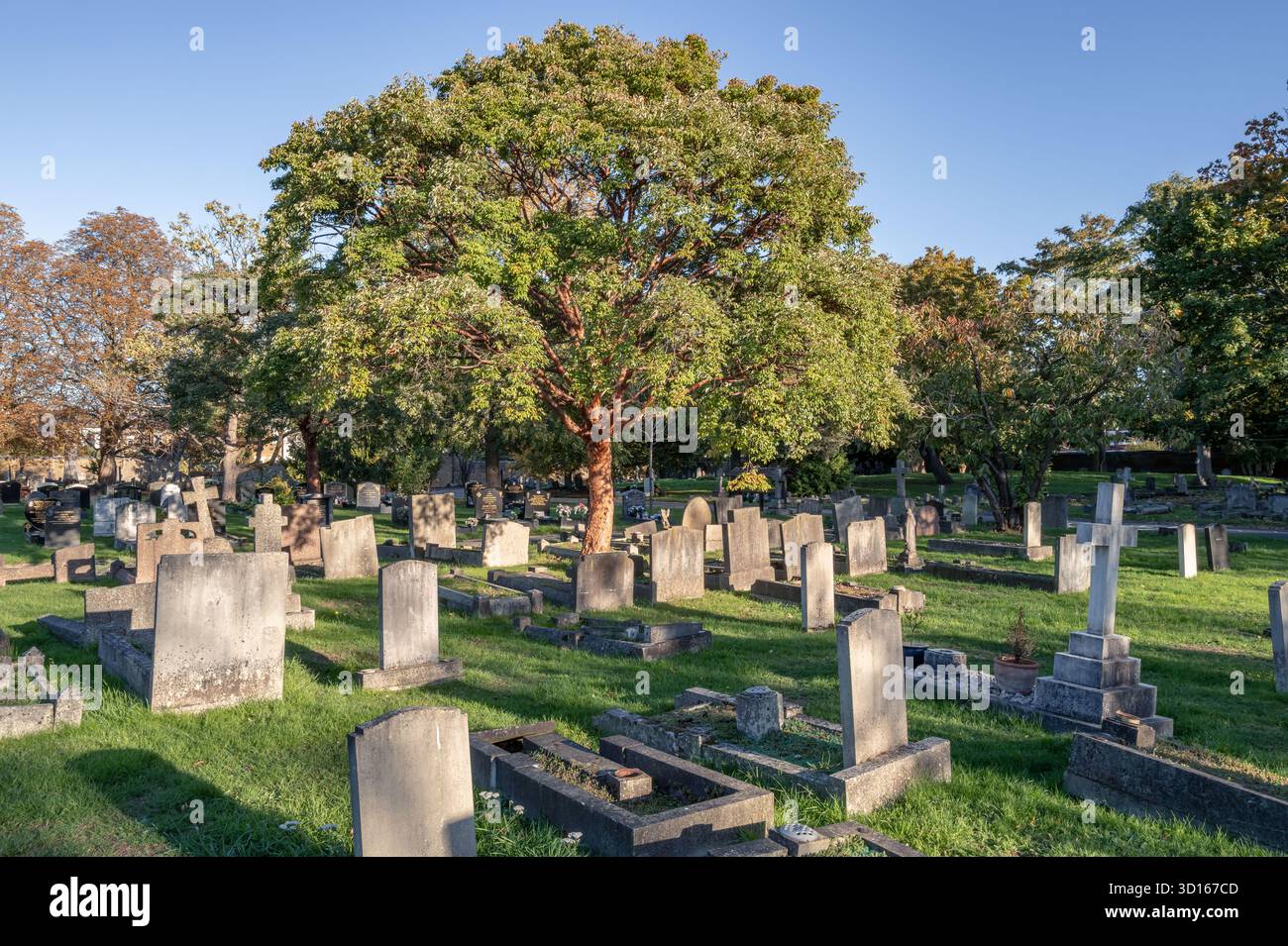 Hanwell Cemetery, Ealing, Londra Foto Stock