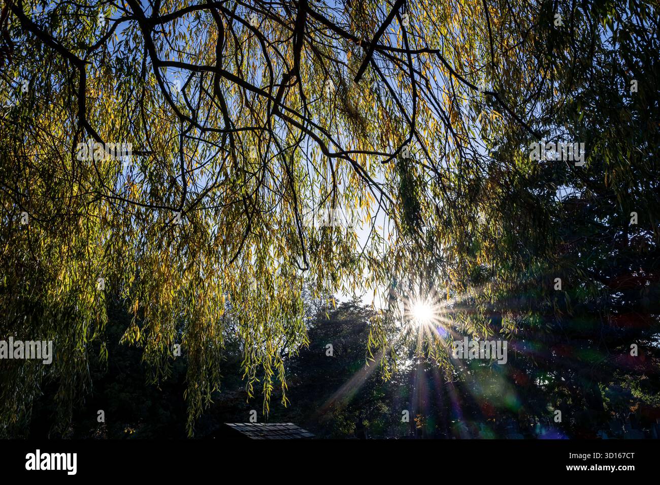 Hanwell Cemetery, Ealing, Londra Foto Stock