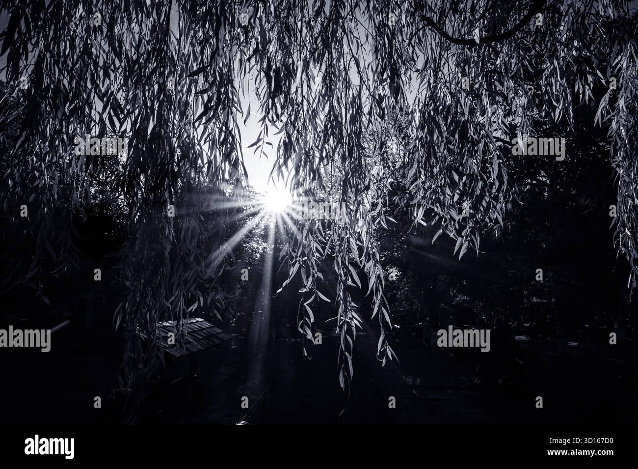 Hanwell Cemetery, Ealing, Londra Foto Stock