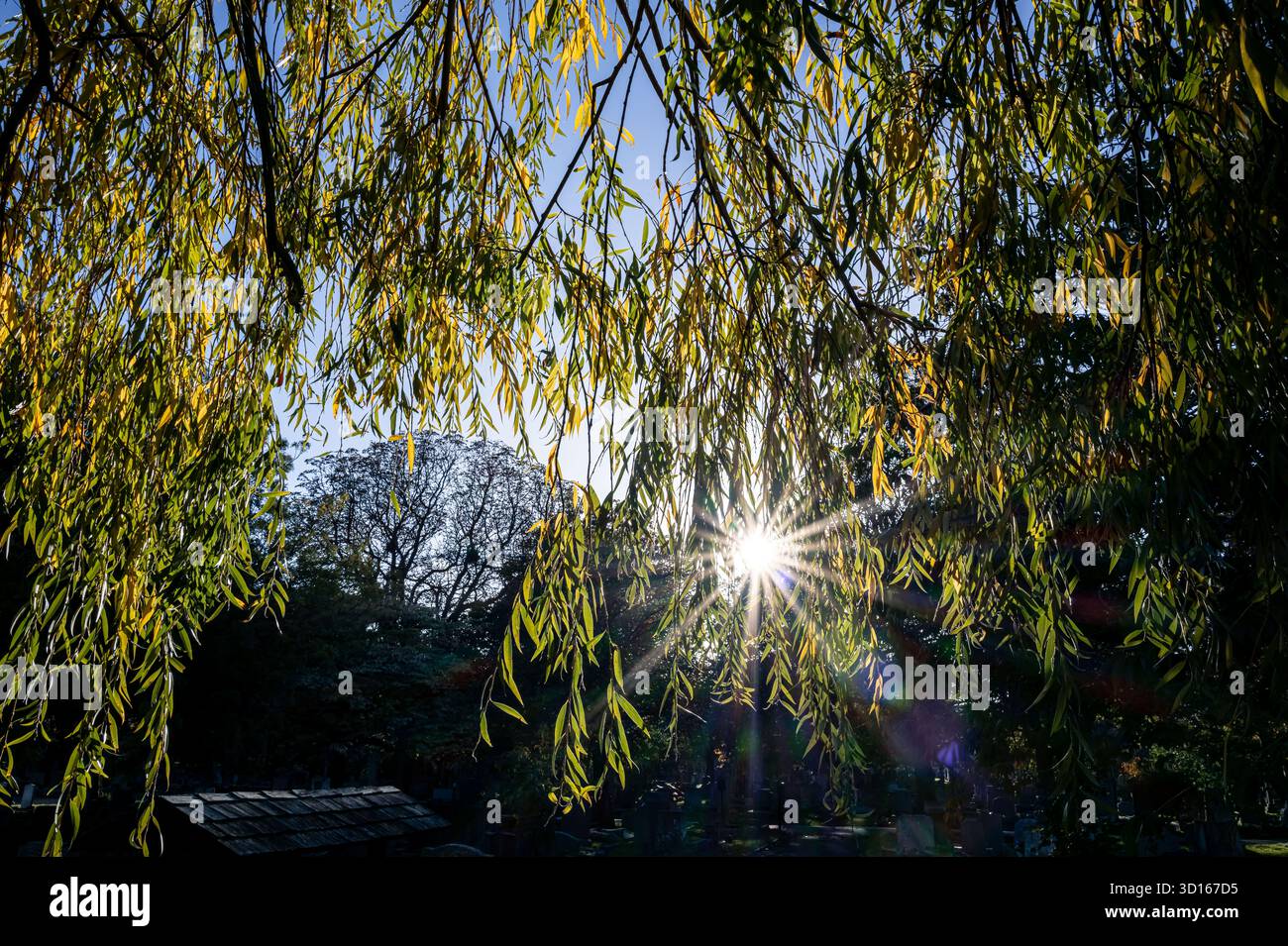 Hanwell Cemetery, Ealing, Londra Foto Stock