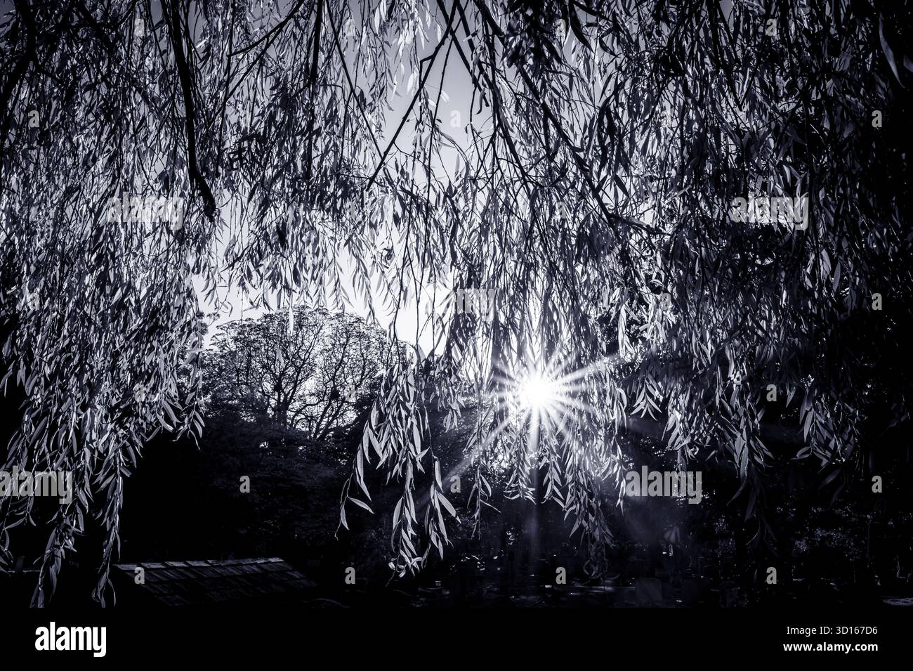 Hanwell Cemetery, Ealing, Londra Foto Stock