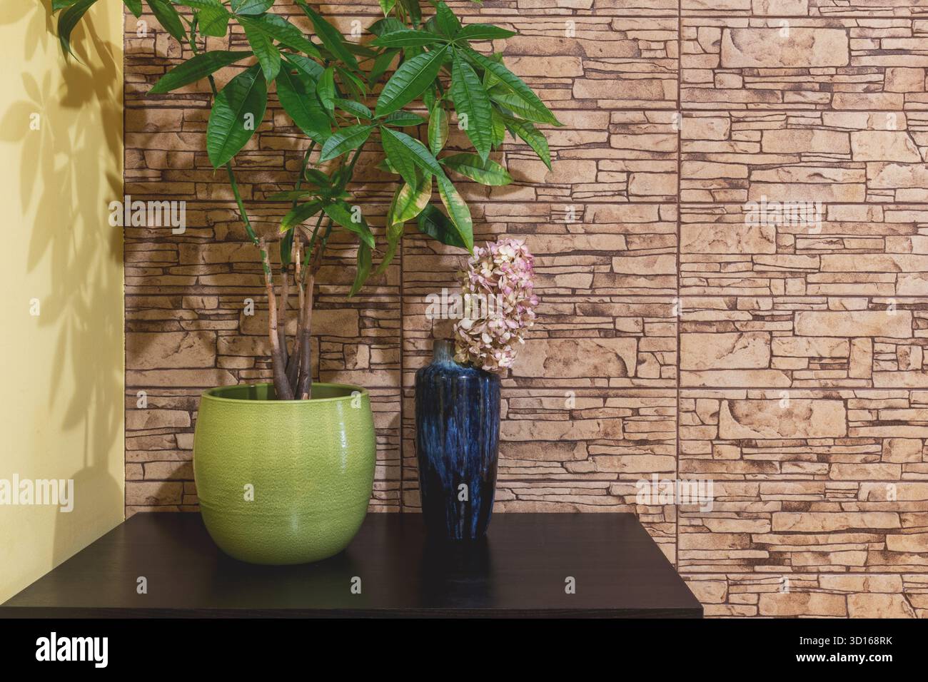 Design e interni. Pianta verde in vaso verde e vaso blu con fiore viola su cassettiera nera su sfondo marrone in mattoni Foto Stock