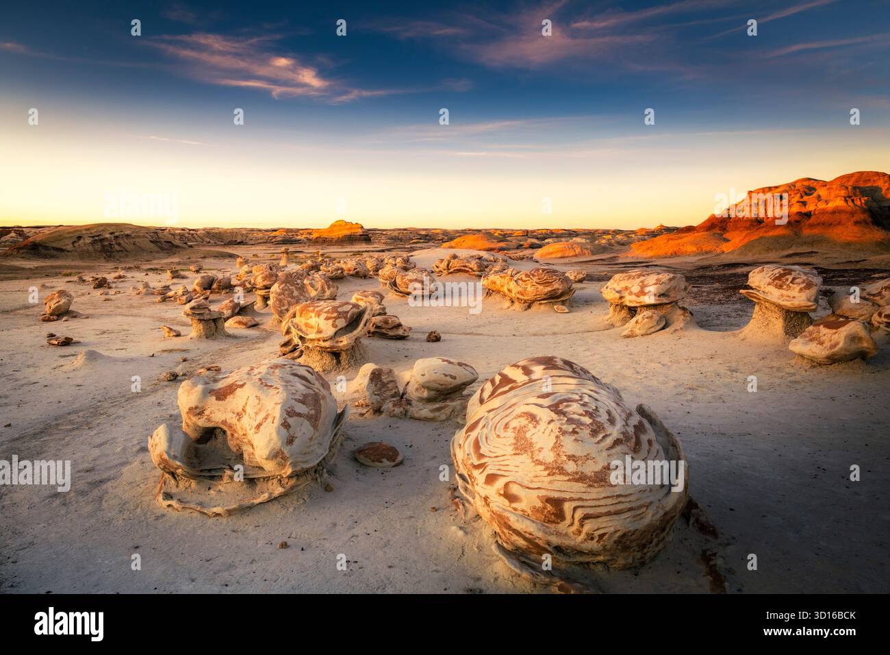 L'ora d'oro colora l'incubatoio delle uova aliene Foto Stock