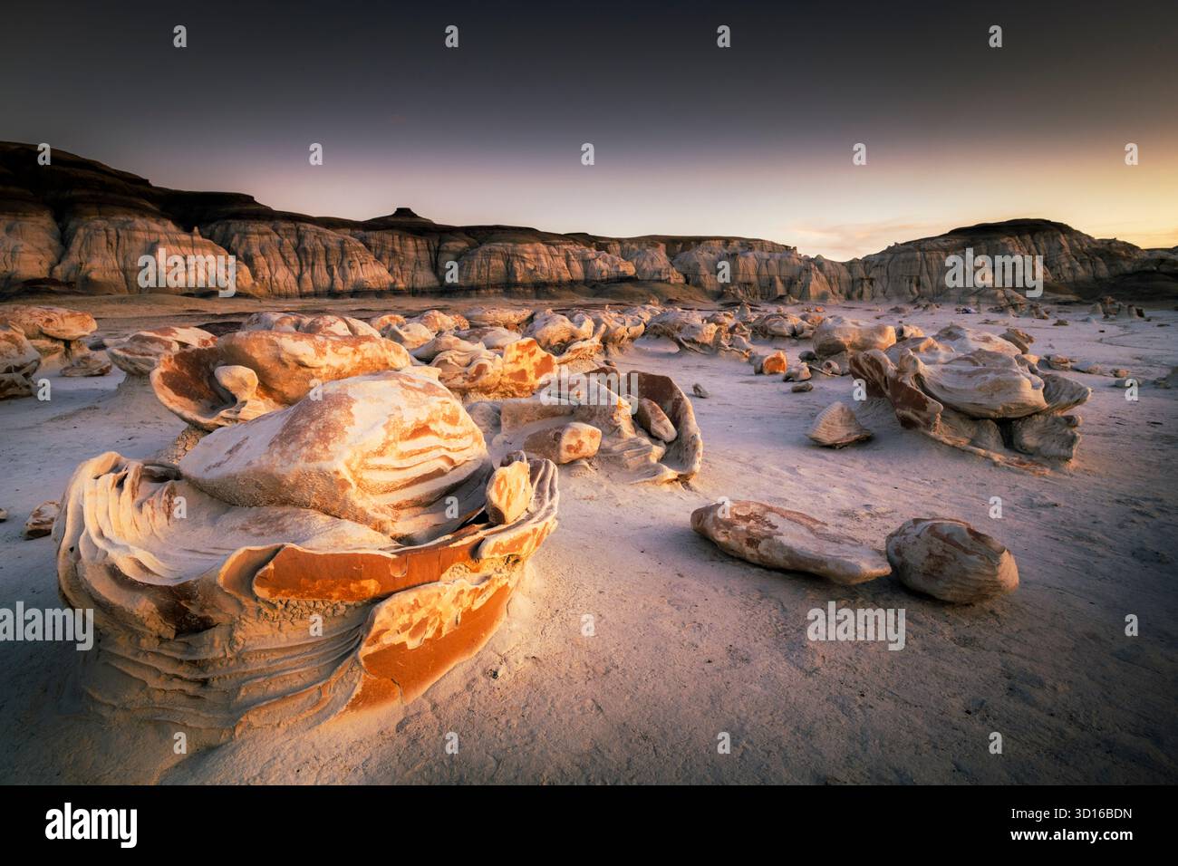 Vista ravvicinata delle uova aliene nei bassifondi di bisti Foto Stock