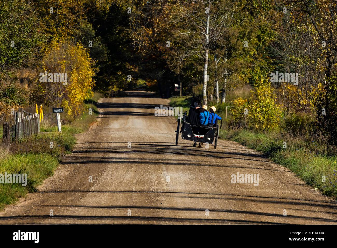 Carrozza Amish trainata da cavalli su strada di campagna attraverso il paese Amish nella contea di Mecosta, Michigan, Stati Uniti [Nessuna versione; solo licenza editoriale] Foto Stock