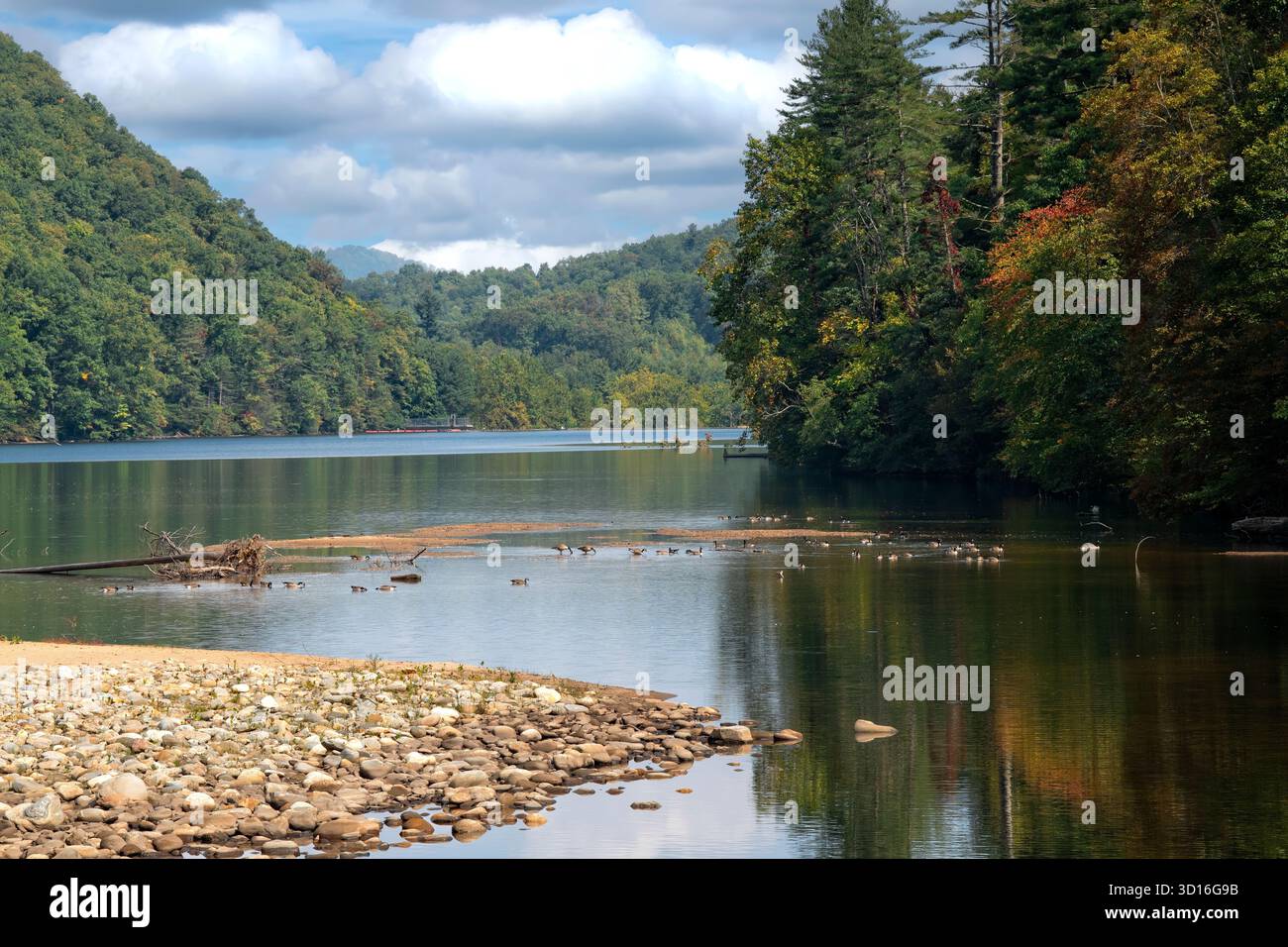 I colori autunnali della natura sugli alberi, i riflessi sul lago, i cieli blu. Foto Stock
