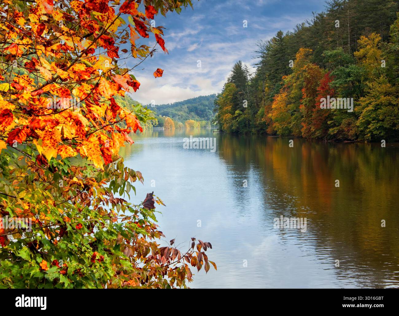 I colori autunnali della natura sugli alberi, i riflessi sul lago, i cieli blu. Foto Stock