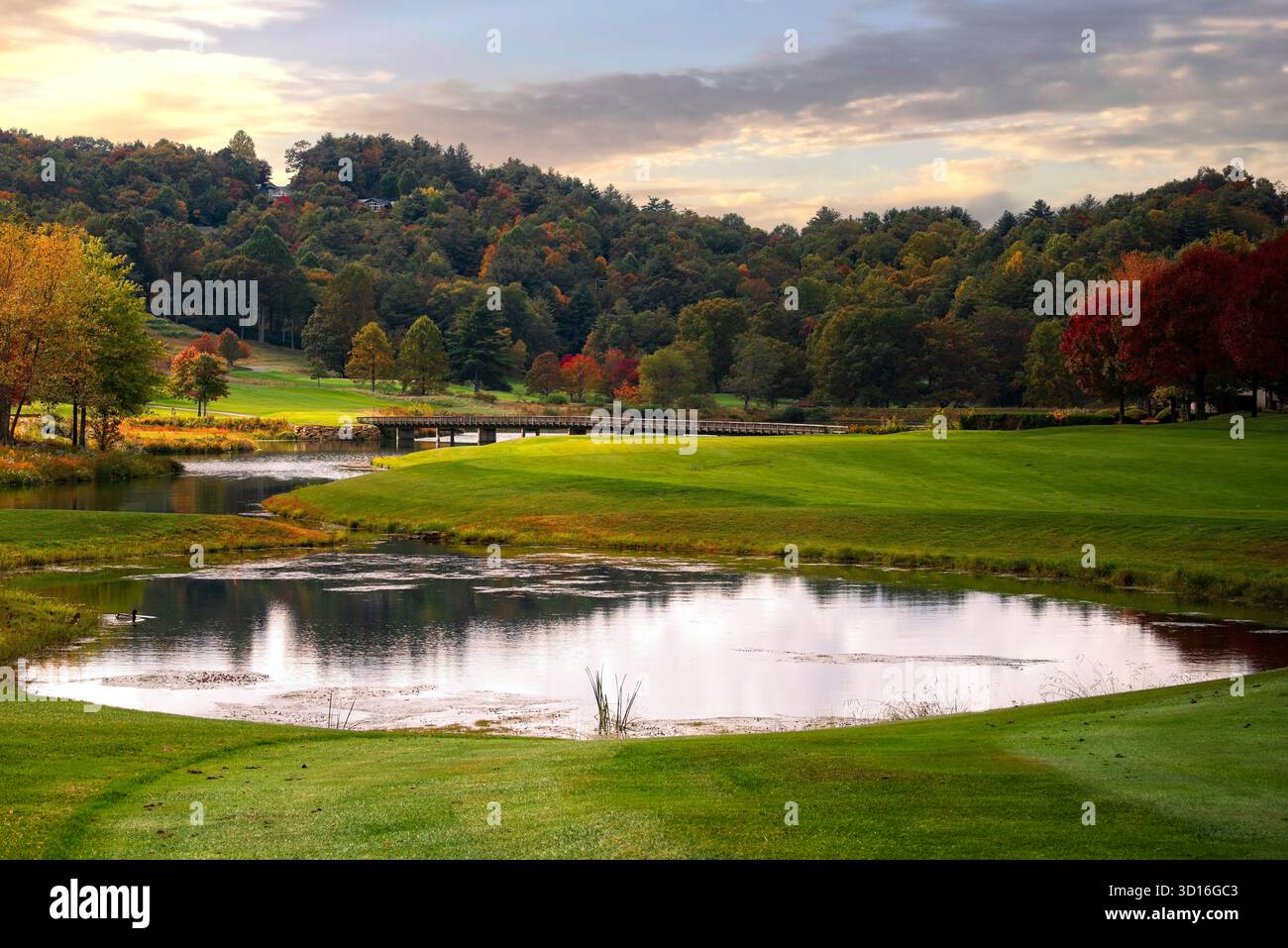 Campo paesaggistico con laghetto, stagione autunnale, vibranti colori degli alberi, basso tramonto. Foto Stock