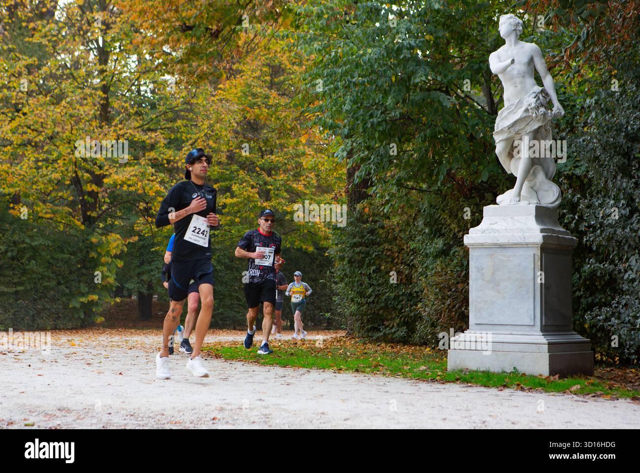 I partecipanti alla maratona corrono attraverso il panoramico parco autunnale mostrando energia resistenza e lavoro di squadra in un evento sportivo all'aperto di stile di vita sano. Foto Stock
