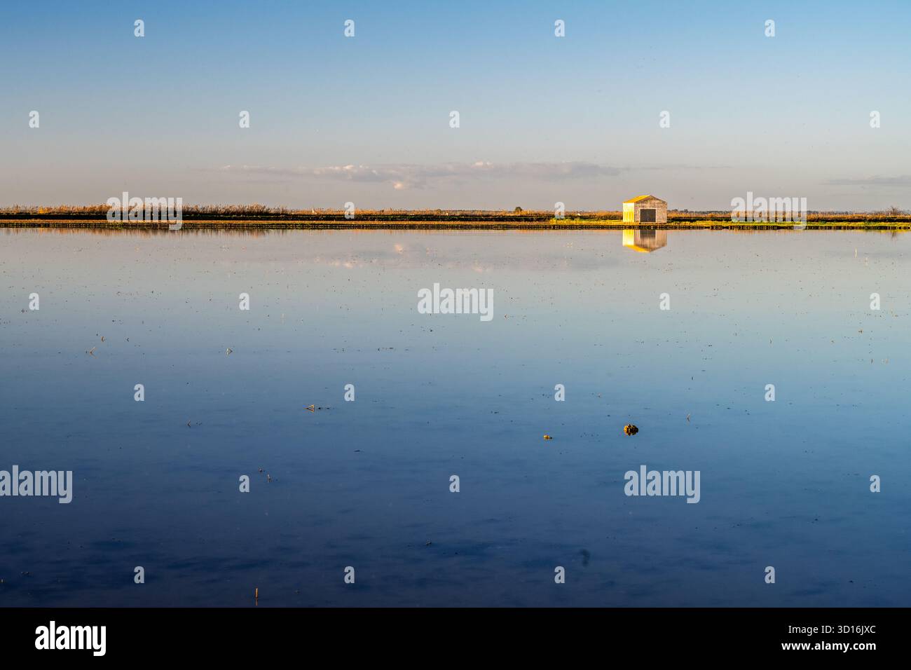 Un capannone solitario vicino a Isla Mayor si riflette perfettamente in acqua ferma, sotto un cielo in pendenza con nuvole basse, offrendo una scena di calma e tranquillità. Foto Stock