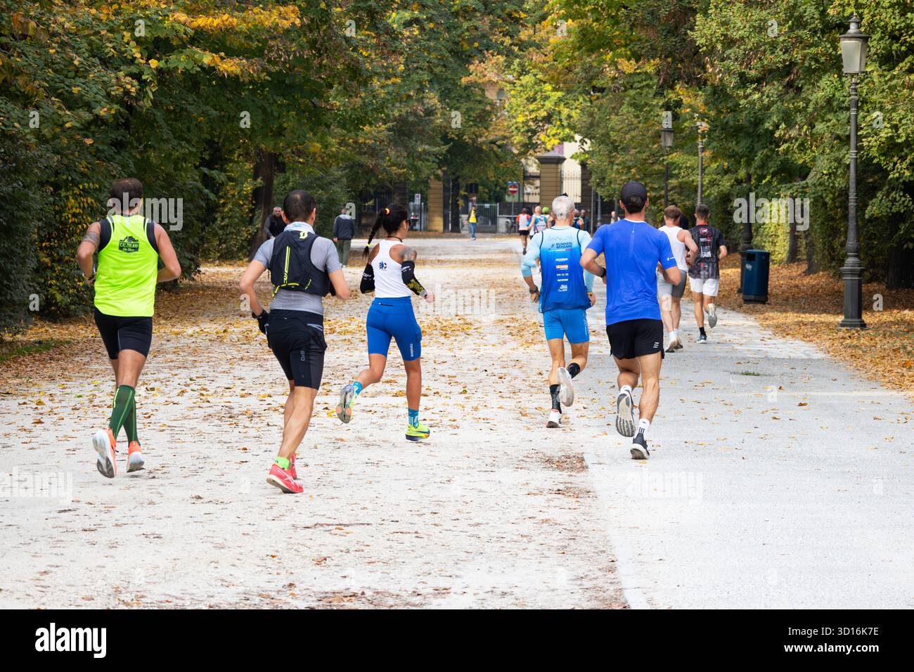 I partecipanti alla maratona corrono attraverso il panoramico parco autunnale mostrando energia resistenza e lavoro di squadra in un evento sportivo all'aperto di stile di vita sano. Foto Stock