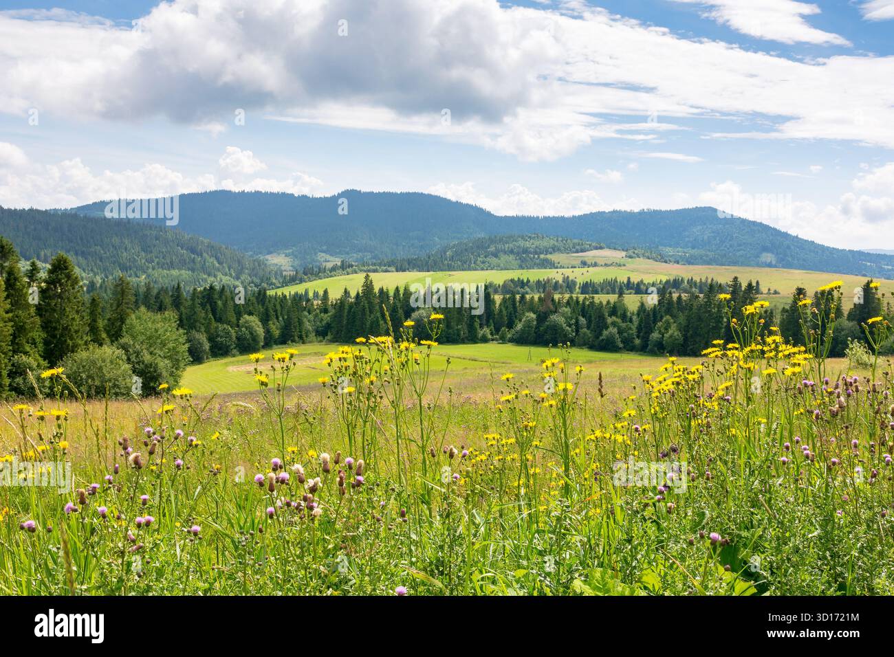 paesaggio di campagna con prato in estate. splendida vista della montagna sotto il cielo con nuvole sullo sfondo Foto Stock