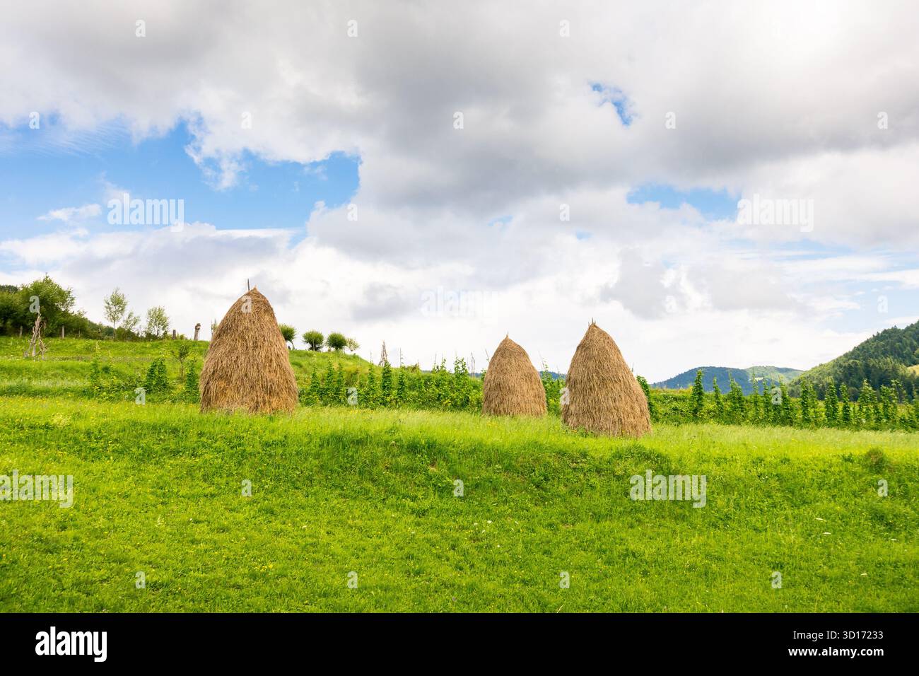 paesaggio rurale in montagna. pagliaio sul campo vicino alla foresta. giorno d'estate con cielo nuvoloso Foto Stock