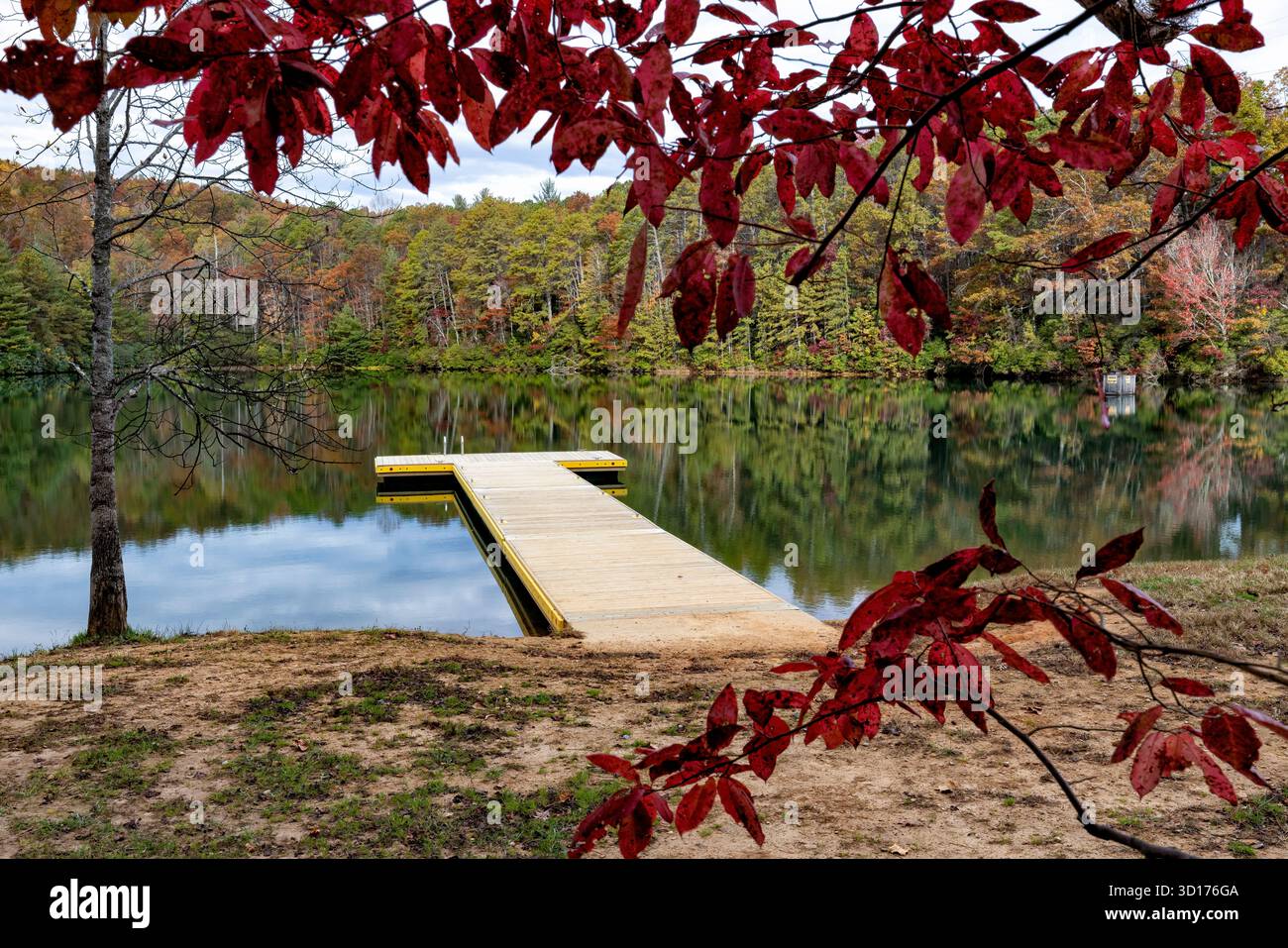 Attracco per il nuoto al lago Fawn - DuPont State Recreational Forest - Cedar Mountain, North Carolina, Stati Uniti Foto Stock