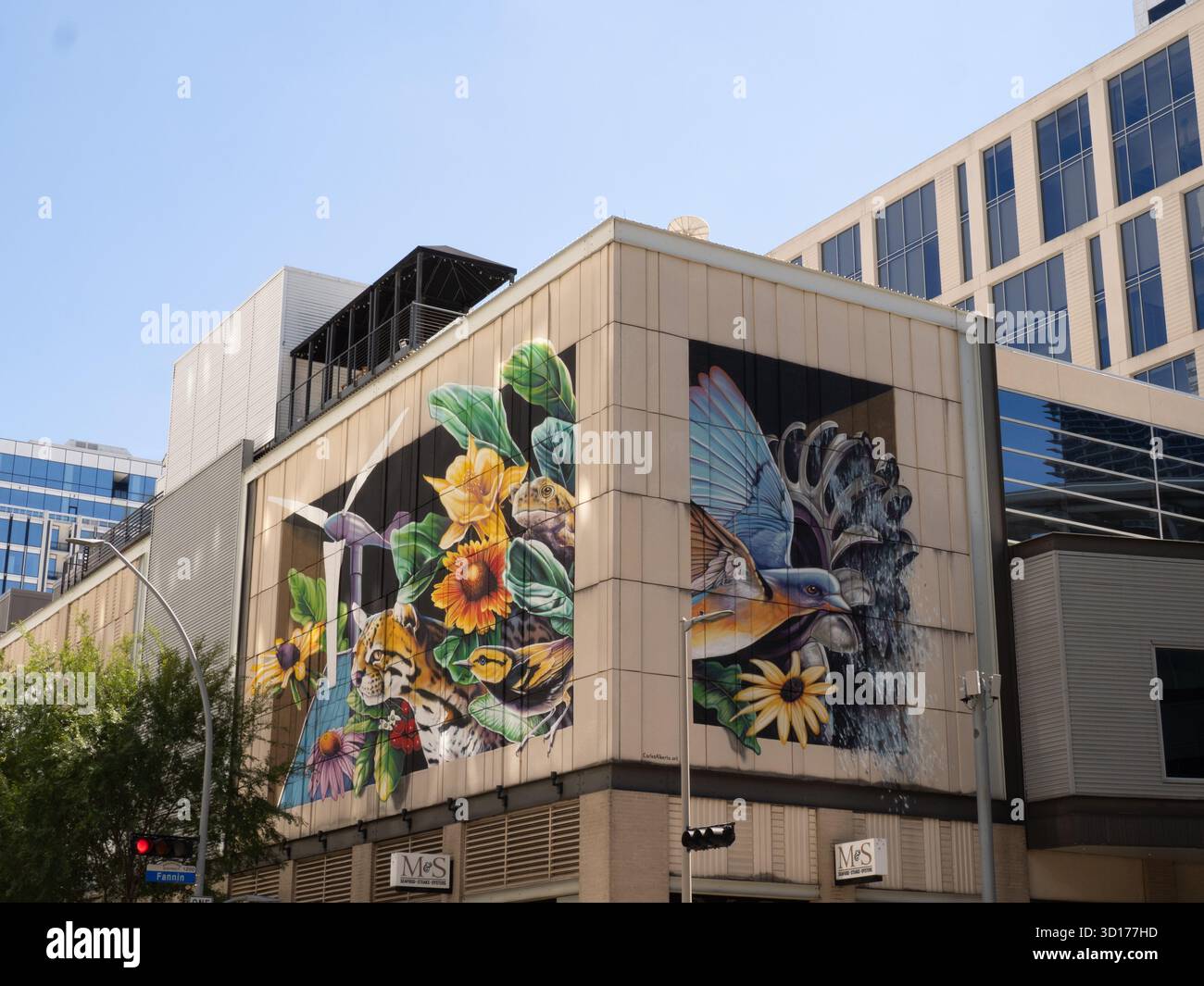 Murale "Hope for a Greener Future" di Carlos Alberto a Houston, Texas. Il colorato murale raffigura uccelli, fauna selvatica e fiori. Foto Stock