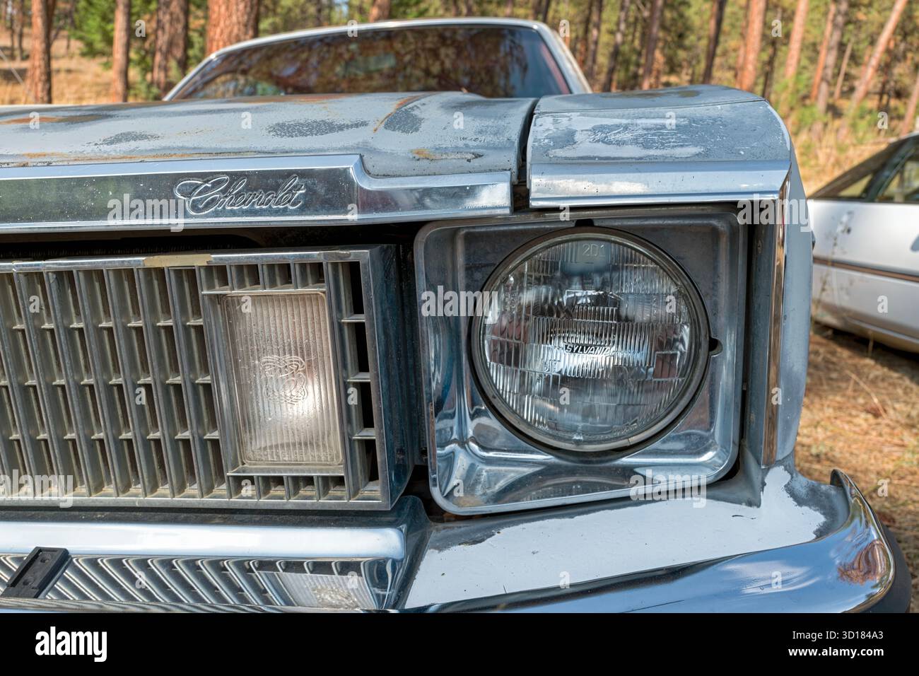 Dettaglio del faro e della griglia su una Chevy Nova Concours 1977 grigia Foto Stock