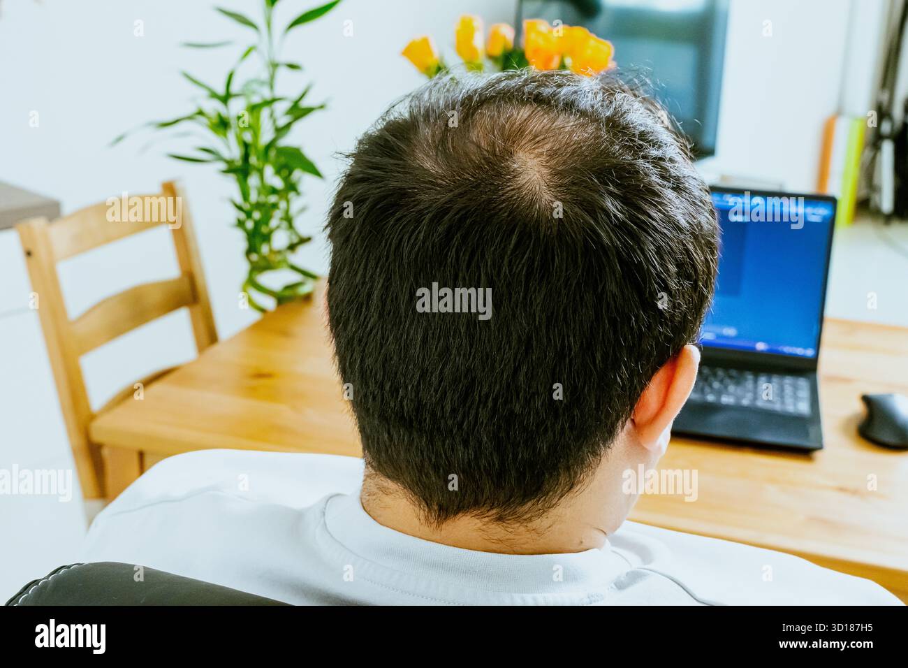 Un uomo siede su un notebook e utilizza l'intelligenza artificiale, vista da dietro. Foto di alta qualità Foto Stock