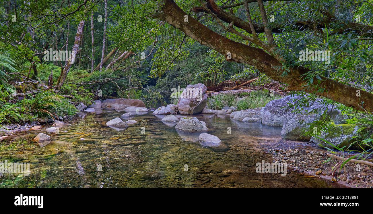 Panorama del Coombadjha creek, limpido e poco profondo, che scorre attraverso una gola rocciosa nella lussureggiante foresta pluviale, il Washpool National Park, NSW, Australia Foto Stock
