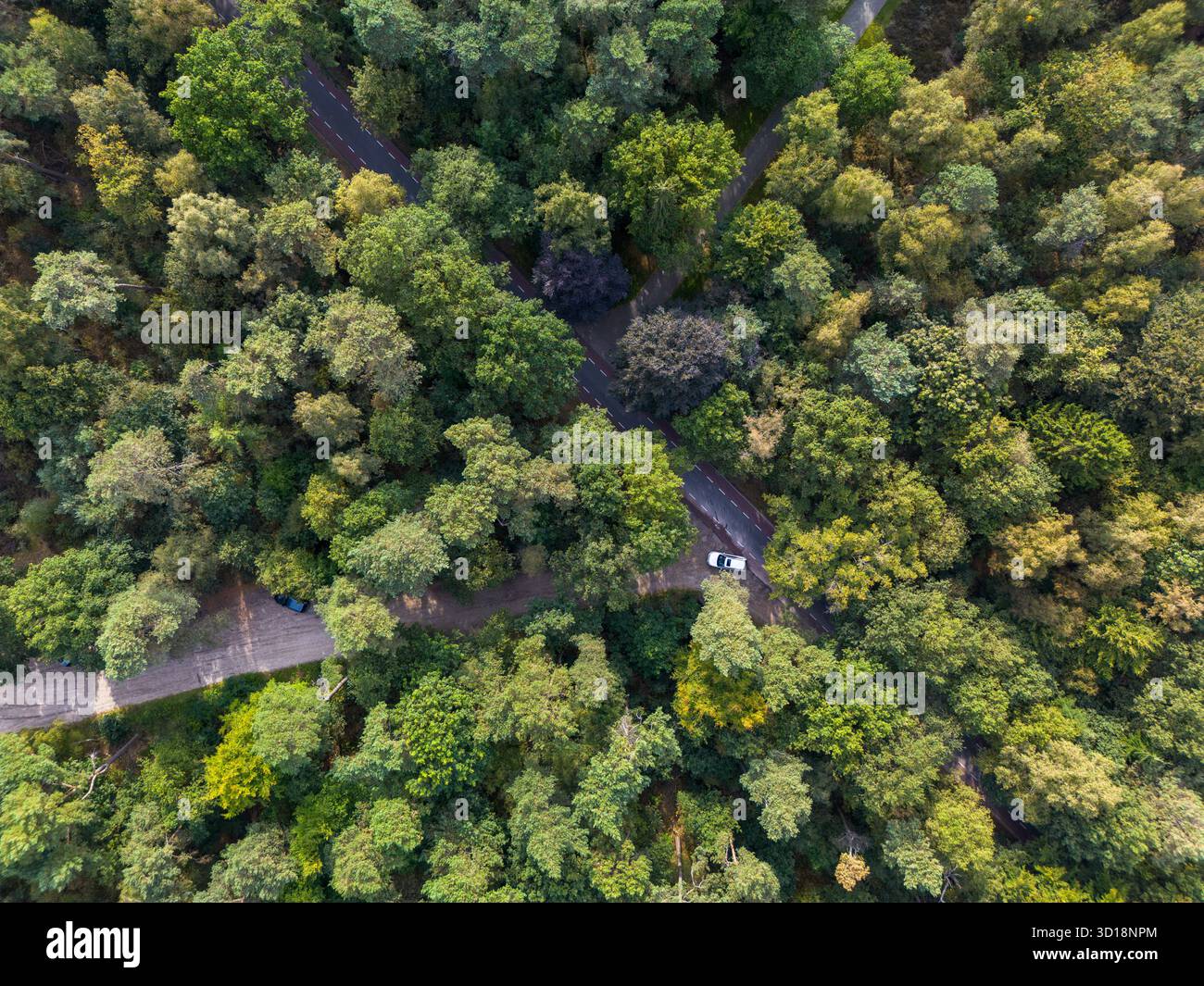 Vista aerea della foresta tagliata in due dalla strada asfaltata con linee tratteggiate; auto blu parcheggiata vicino all'area di sosta pavimentata che mostra un contrasto tra la fitta vegetazione e. Foto Stock
