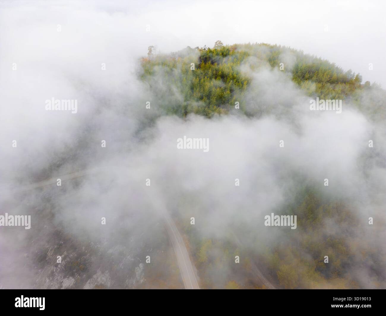 Colpo di drone dall'alto verso il basso di una collina boscosa che sbircia attraverso la nebbia Foto Stock