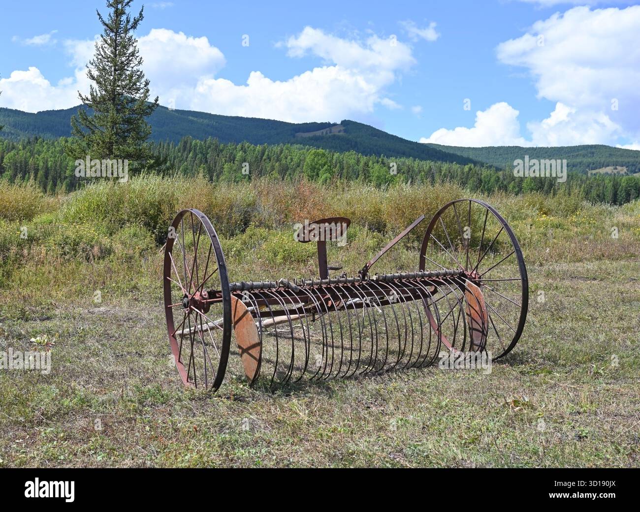 Attrezzature agricole per falciatrici da fieno d'epoca in grandi campi Foto Stock