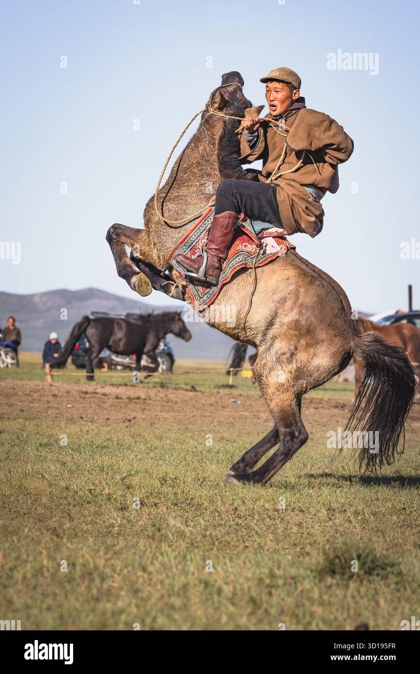Ragazzo mongolo che domina un cavallo Foto Stock