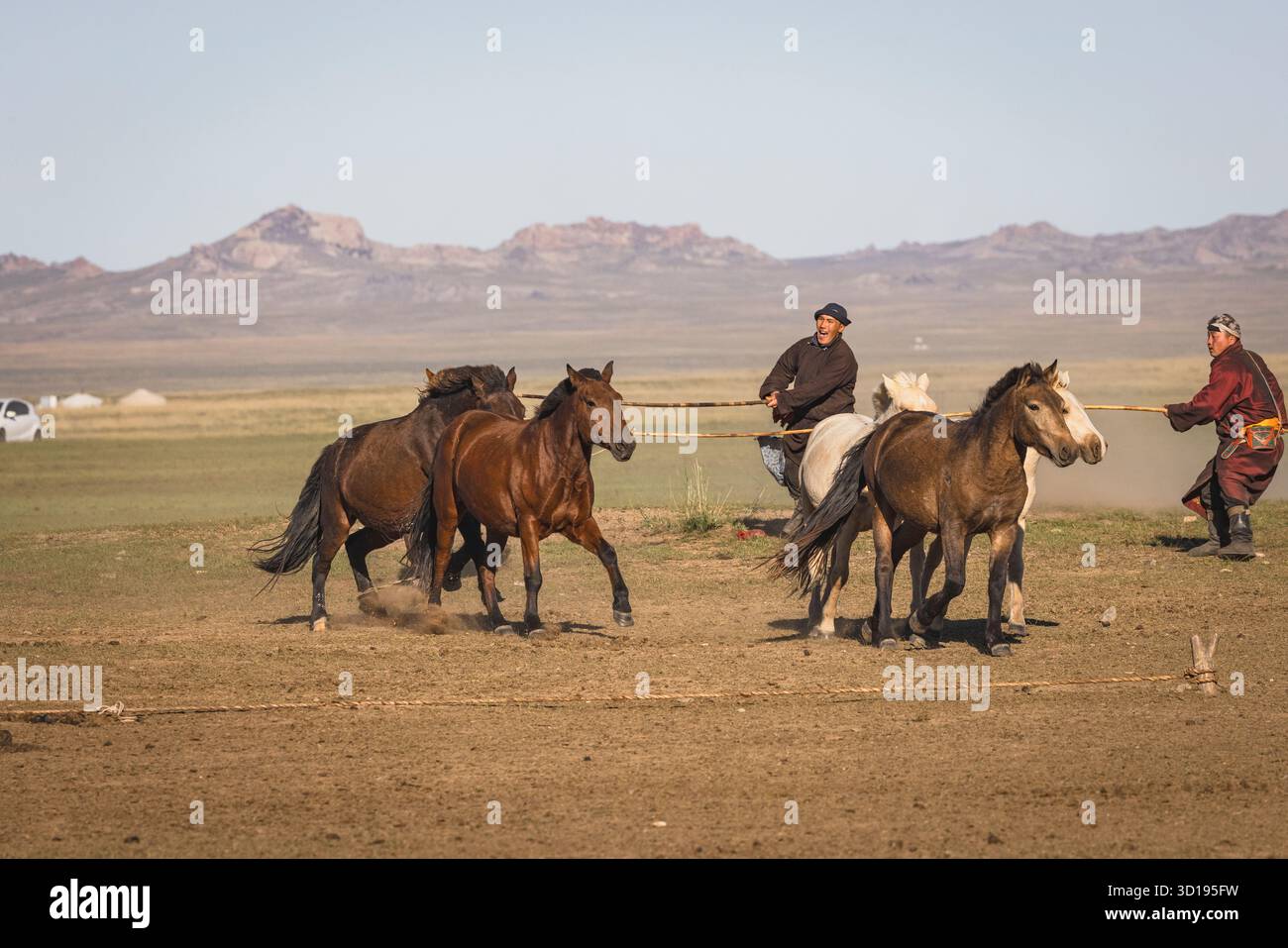 nomadi mongoli che domano un cavallo Foto Stock
