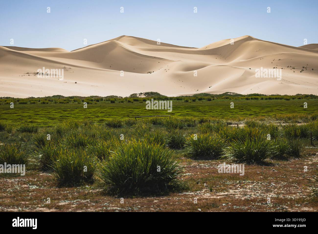 Dune del deserto del Gobi Foto Stock