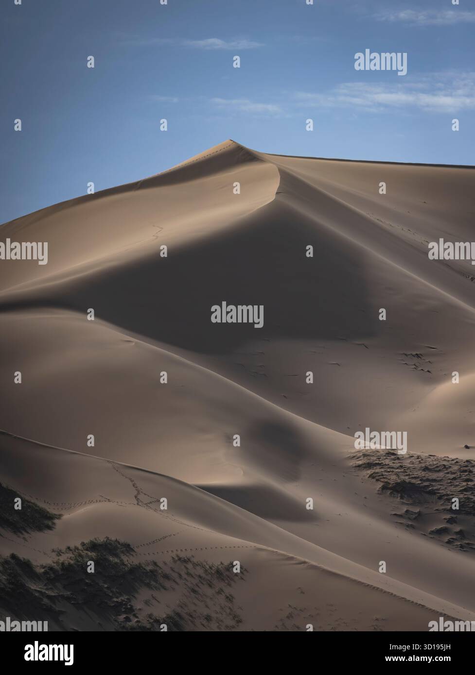 Dune del deserto del Gobi Foto Stock