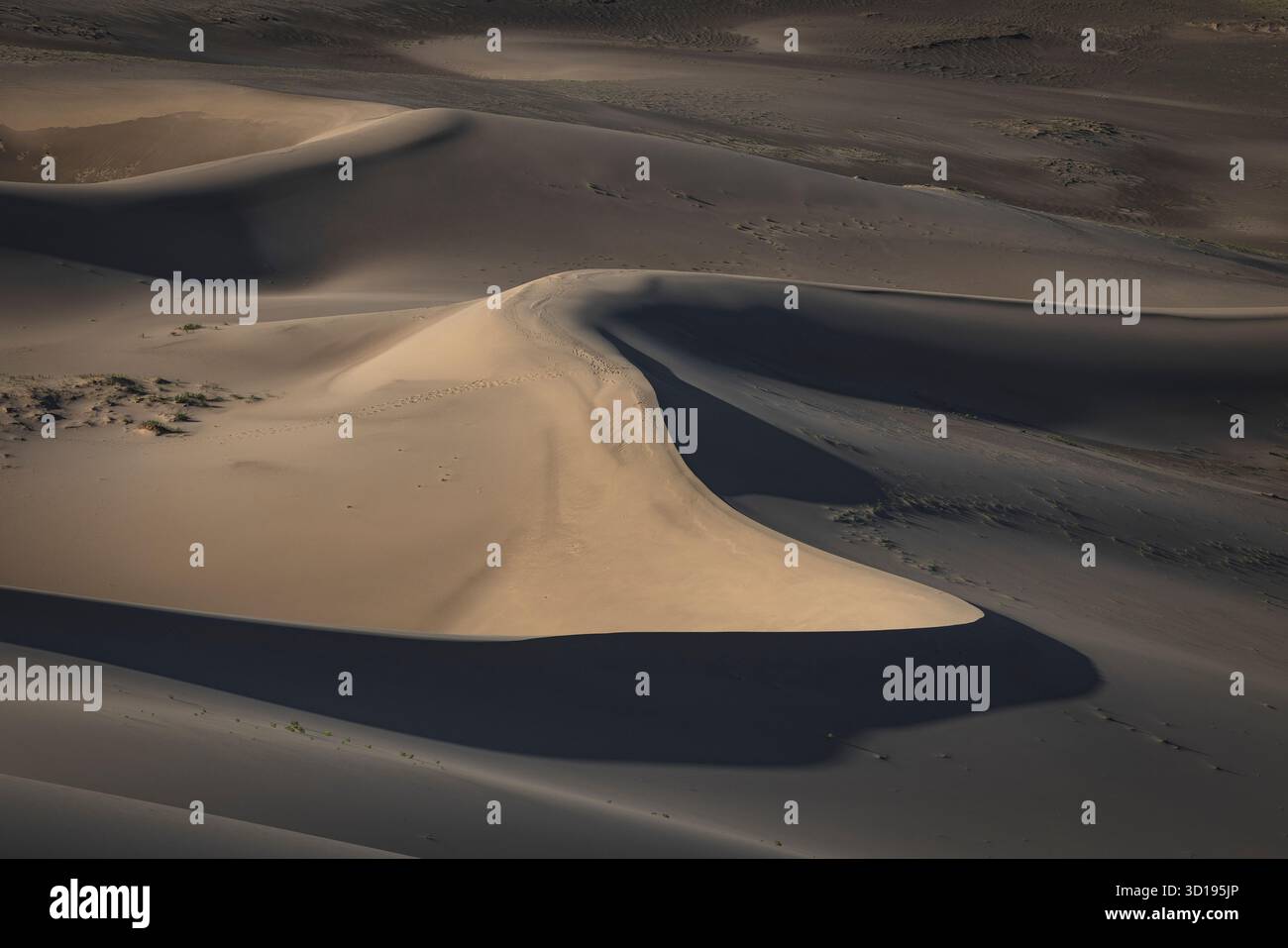 Dune del deserto del Gobi Foto Stock