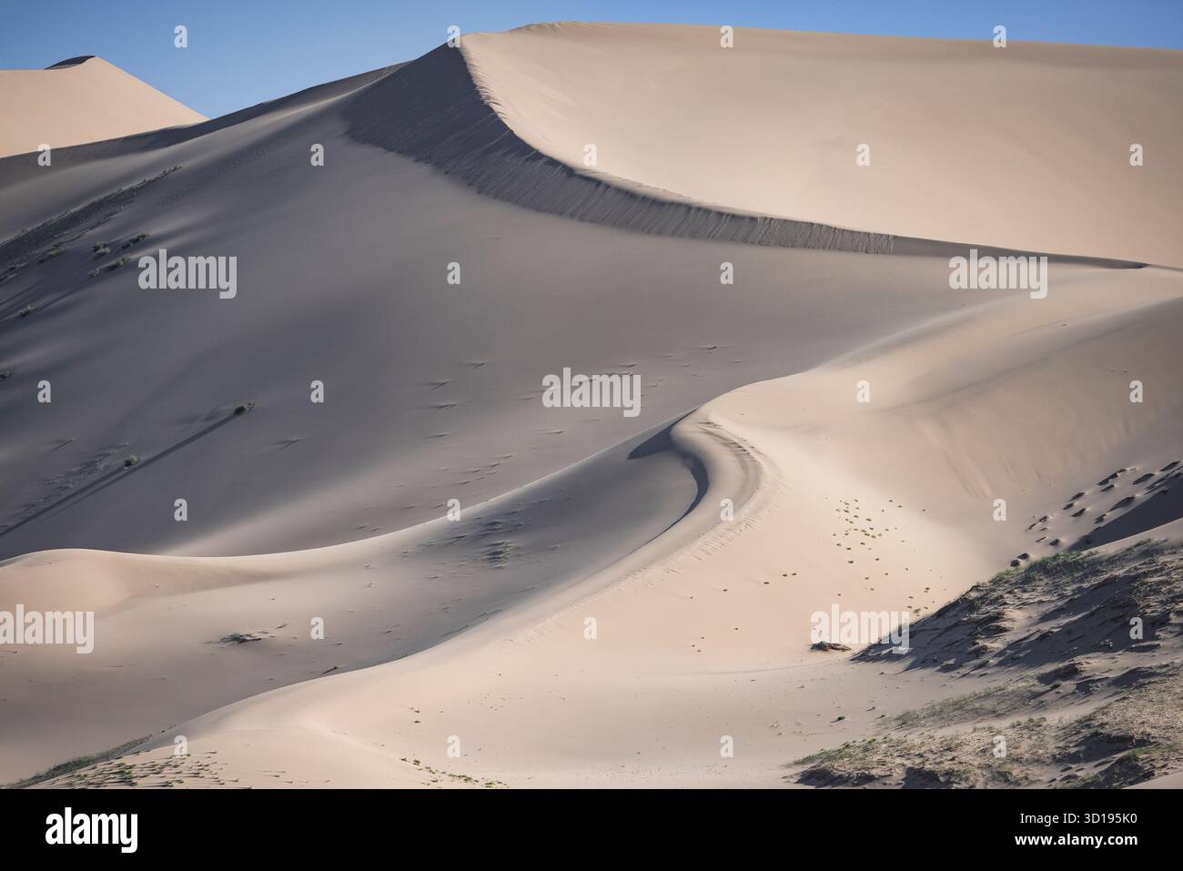 Dune del deserto del Gobi Foto Stock