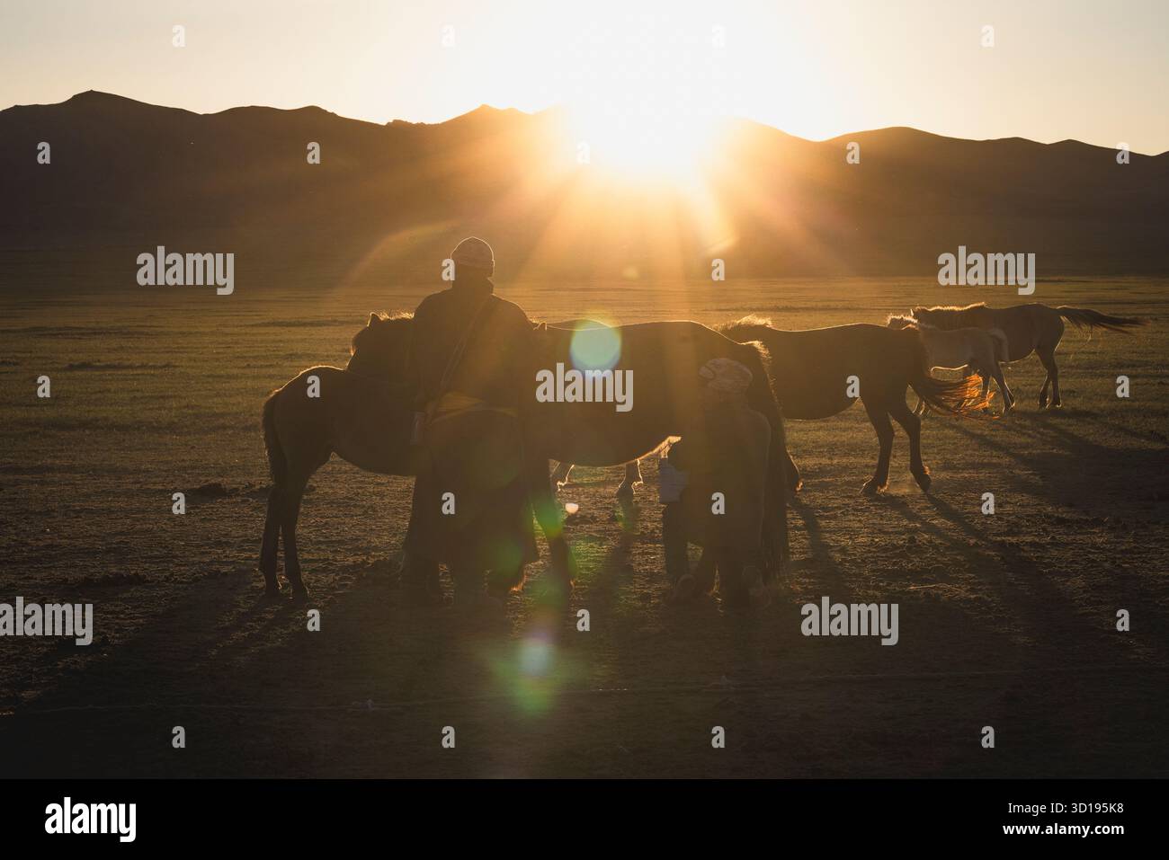 silhouette di un uomo e dei suoi cavalli al tramonto Foto Stock