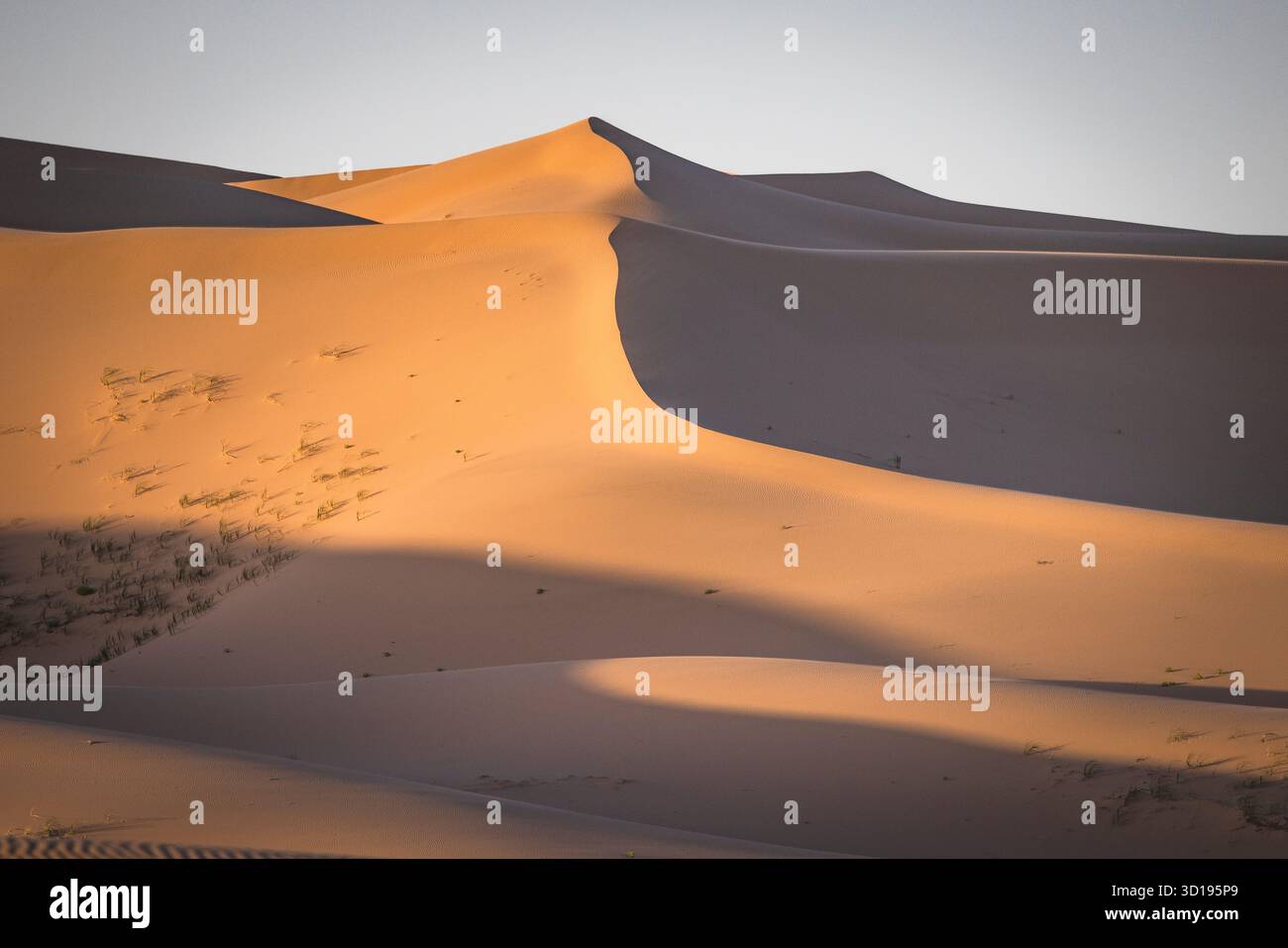 Dune del deserto del Gobi Foto Stock